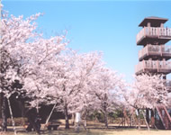 城山公園01